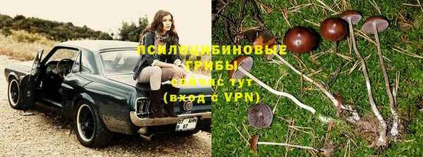 тгк Краснослободск