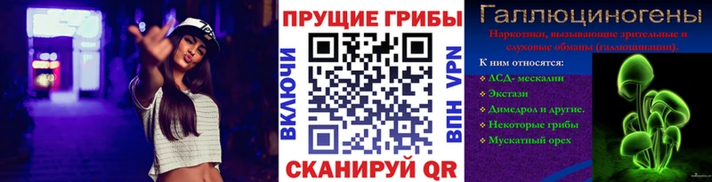 Купить закладки  Электрогорск  Галлюциногенные грибы Cubensis 